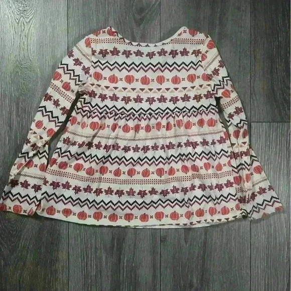 Carter’s and Children’s Place 2 Piece Girls Fall Long Sleeve Tee Bundle Size 5 - Picture 3 of 9